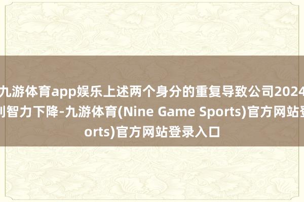 九游体育app娱乐上述两个身分的重复导致公司2024年度盈利智力下降-九游体育(Nine Game Sports)官方网站登录入口