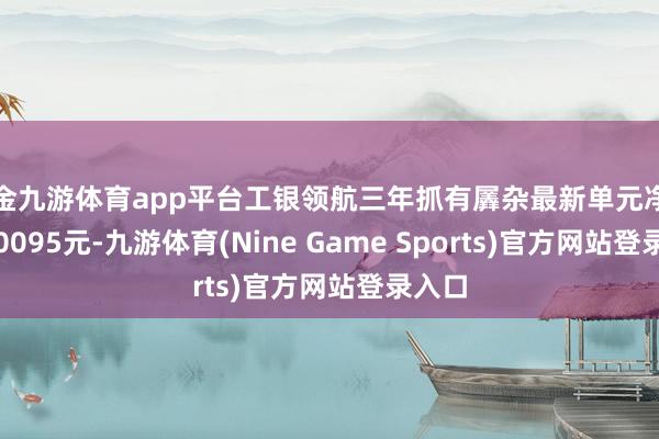 现金九游体育app平台工银领航三年抓有羼杂最新单元净值为1.0095元-九游体育(Nine Game Sports)官方网站登录入口