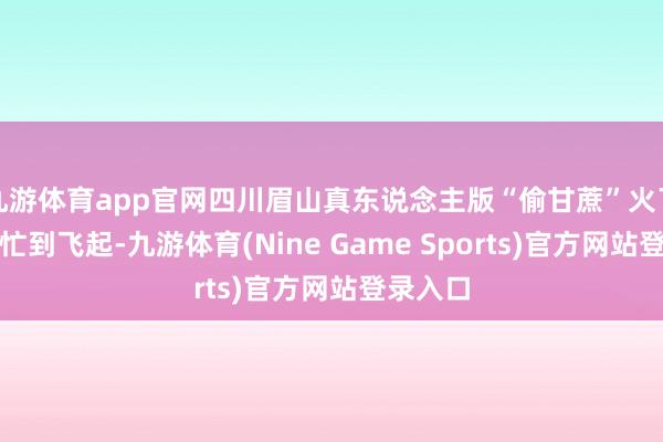 九游体育app官网四川眉山真东说念主版“偷甘蔗”火了，雇主忙到飞起-九游体育(Nine Game Sports)官方网站登录入口