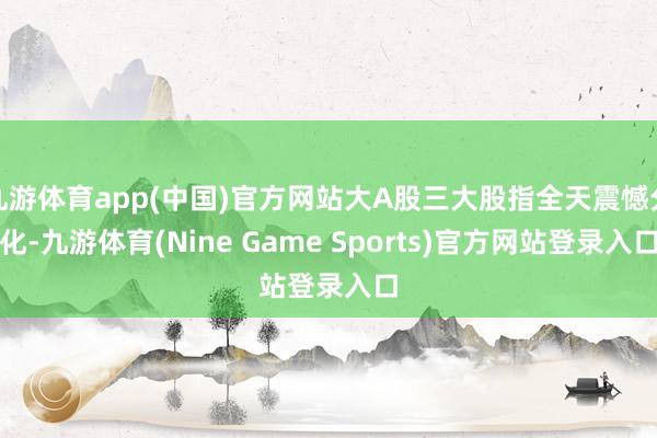九游体育app(中国)官方网站大A股三大股指全天震憾分化-九游体育(Nine Game Sports)官方网站登录入口