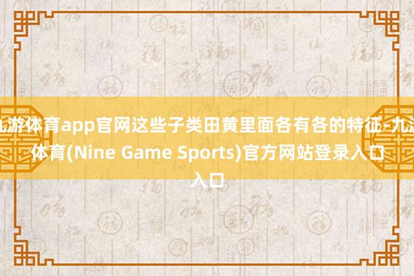 九游体育app官网这些子类田黄里面各有各的特征-九游体育(Nine Game Sports)官方网站登录入口