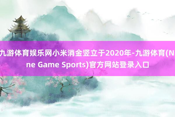 九游体育娱乐网小米消金竖立于2020年-九游体育(Nine Game Sports)官方网站登录入口
