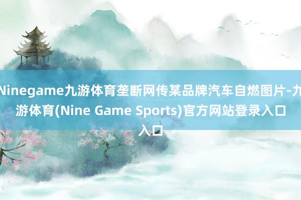 Ninegame九游体育垄断网传某品牌汽车自燃图片-九游体育(Nine Game Sports)官方网站登录入口